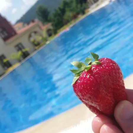 Natura Leylak Villa