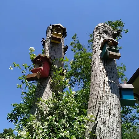 Natura Leylak * Sapanca
